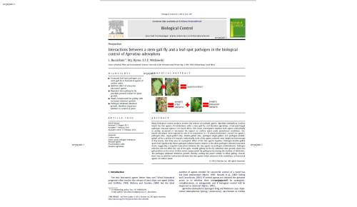 Interactions between a stem gall fly and a leaf-spot pathogen in the biological control of Ageratina adenophora